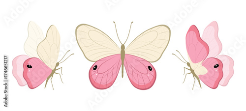 Butterfly collection. Colorful illustration. Butterflies clipart set. Baby shower design elements. Party invitation, birthday celebration. Spring, summer decoration. Pink yellow red flowers