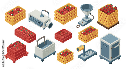 Isometric tomato processing equipment and crates for food production visualization