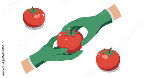 Hands with green gloves holding fresh tomatoes in flat style