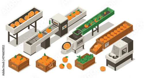 Isometric orange processing line with conveyor belts and equipment