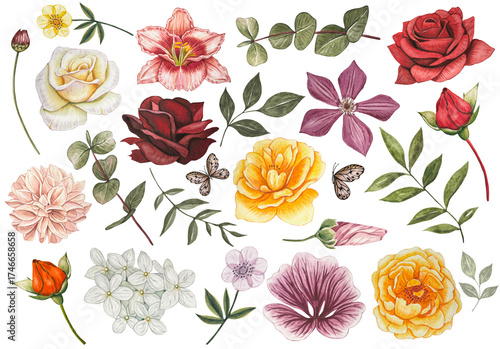 Collection with autumn buds and leaves. Roses, dahlia, clementis, lily, eucalyptus. Watercolor illustration