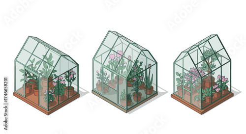 Charming mini greenhouses with potted plants on wooden bases in modern isometric design