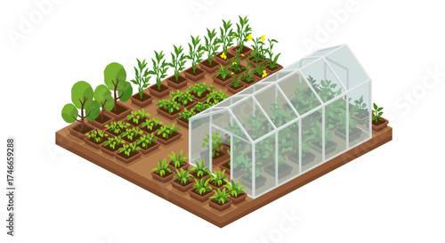 Sustainable gardening with greenhouse and vegetables in isometric style
