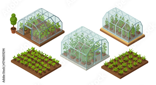 Isometric greenhouse designs featuring diverse plant arrangements