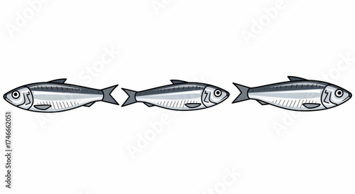 Three silver fish swimming horizontally, showcasing their fins and body details.