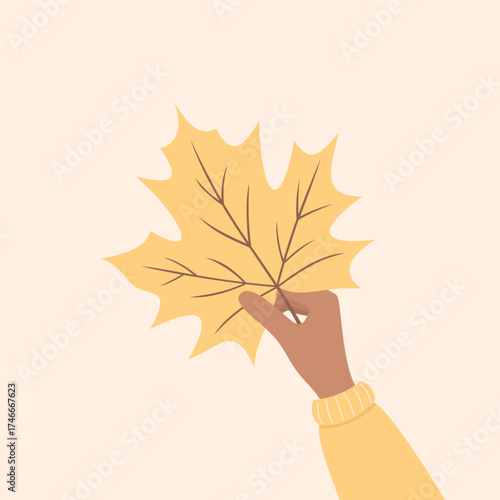 Hand in yellow sleeve holding yellow maple leaf, flat vector illustration