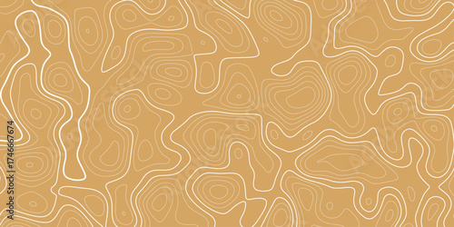 colorful Topographic map patterns, topography line map. Vintage outdoors style.  tradition and celebration concept digitally generated image.
