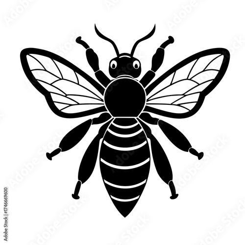 vector illustration of a wasp