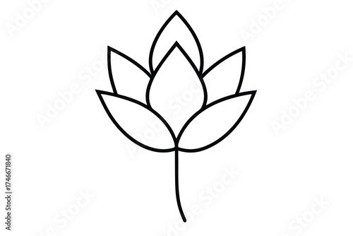blooming bud vector line art flower silhouette