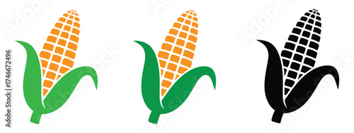 A vibrant ear of corn symbolizing abundance and freshness.