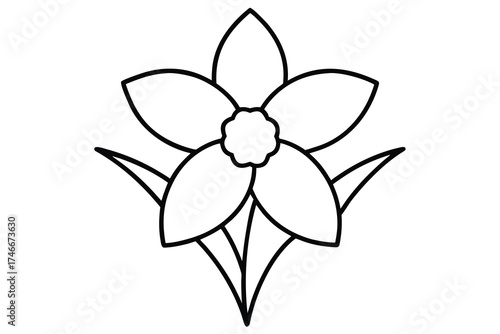 daffodil flower vector line art flower silhouette