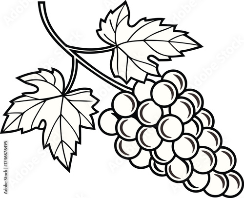 Elegant grape cluster with leaves illustration for winery branding, vineyard promotional material, or organic food packaging designs, originally scalable vector