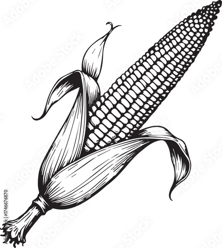 An intricately detailed line art illustration of a fresh, ripe ear of corn, showcasing each kernel and leaf in a monochromatic style.