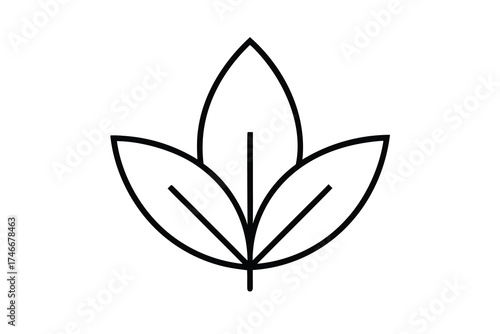 herbal leaf vector line art flower silhouette