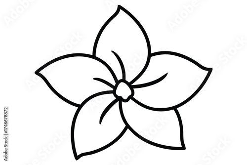 jasmine flower vector line art flower silhouette