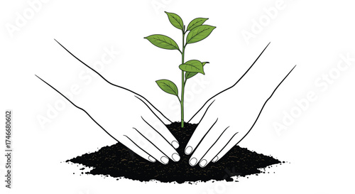 Hands gently protecting a young green plant growing from dark soil