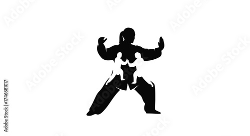 Silhouette of a martial artist in a dynamic stance, embodying strength and discipline.