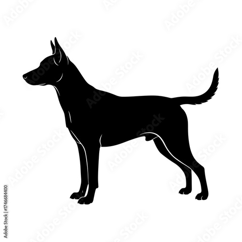 Striking silhouette of a confident dog standing alert, perfect for pet lovers and modern designs, conveys loyalty and strength beautifully