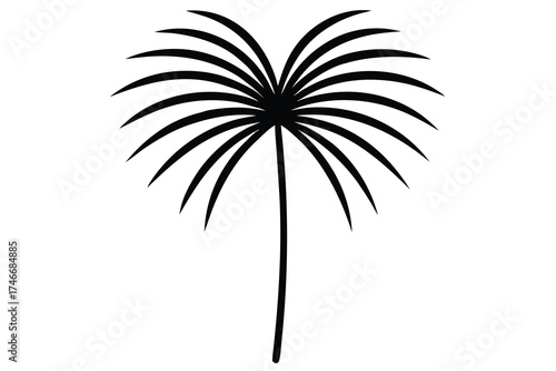 palm frond vector line art flower silhouette