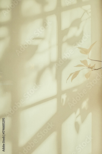 Natural window color shadow overlay on clean minimal light white background