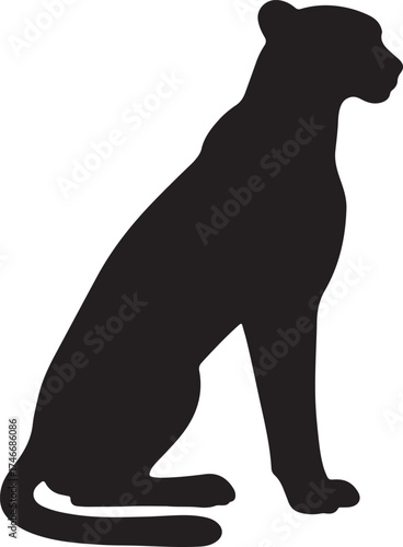 sillhouette chita 