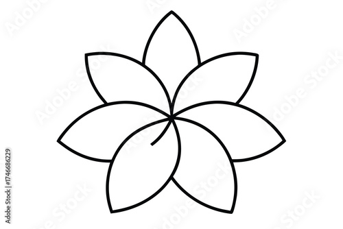 plumeria flower vector line art flower silhouette