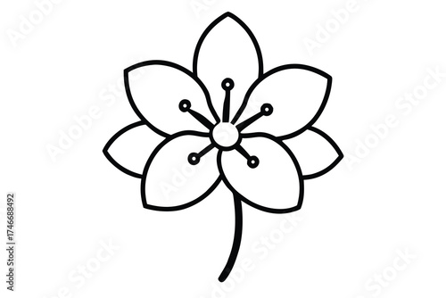 spring blossom vector line art flower silhouette
