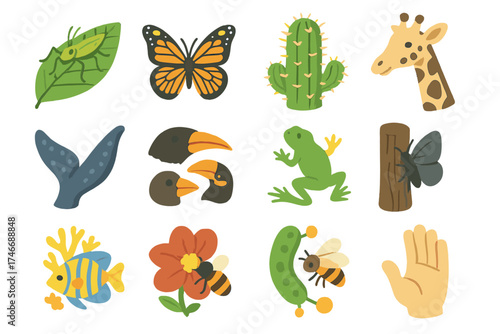 Adaptation Isometric Icons. Evolutionary adaptability isometric set. insect camouflage, mimicry butterfly, cactus spines, giraffe neck, whale flipper, bird beak shapes, fin to limb