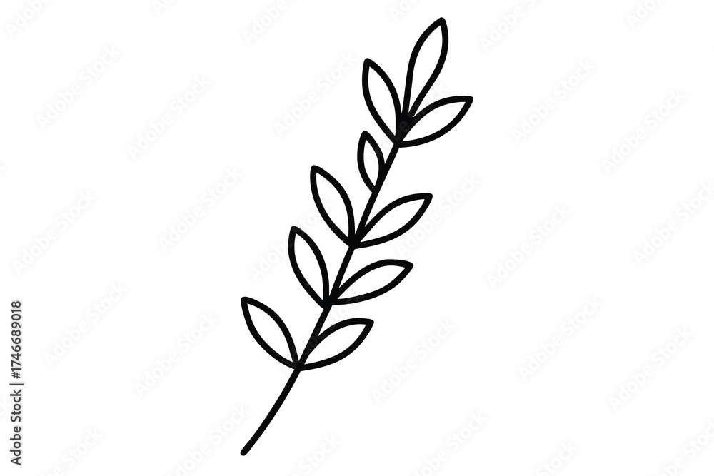 Fototapeta premium thyme sprig vector line art flower silhouette