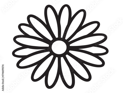 Elegant garden daisy illustration with fine minimalist details
