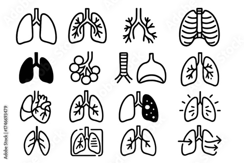 Lung Anatomy Icons. Anatomy outline icons. lung pair, lung cross-section, bronchial tree, ribcage outline, lung silhouette, alveoli detail, trachea, diaphragm, heart with lungs