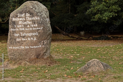 Der Thomsen-Stein im Totengrund in der Lüneburger Heide