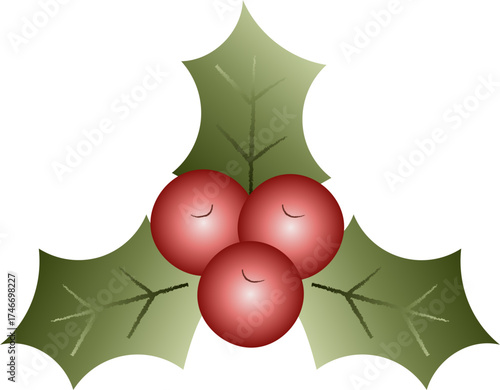Mistletoe Merry Christmas Illustration Style