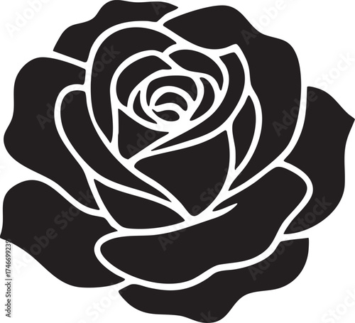 Black and white white rose floral vector illustration vintage seamless pattern design