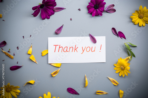 Petals and bright flowers on gray background