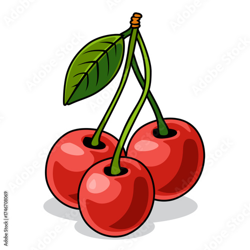 cherry illustration, flat design for children's education