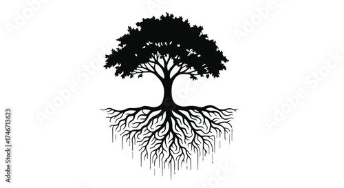 Silhouette of a strong, ancient tree with sprawling roots, symbolizing growth and connection.