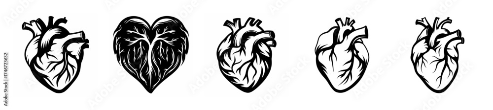 Obraz premium Multiple anatomical hearts showing pulse and vitality in artistic black and white renderings