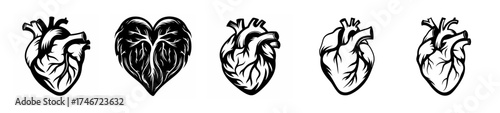 Multiple anatomical hearts showing pulse and vitality in artistic black and white renderings
