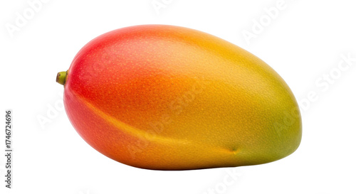 Isolated ripe mango with red, orange and yellow skin, tropical fruit, fresh whole mango