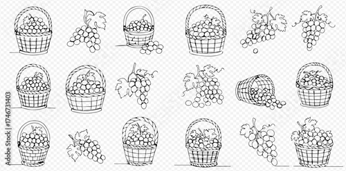 Monochrome line art illustration of grapes and baskets filled with grapes.