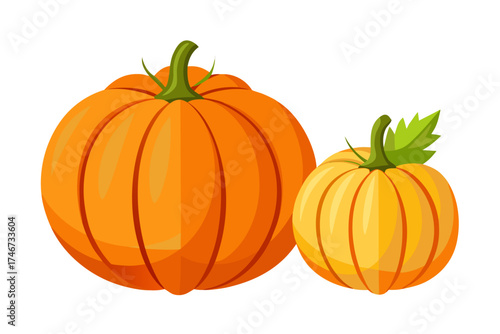 Pumpkin collection, isolated vector pack, Thanksgiving holiday isolated on white