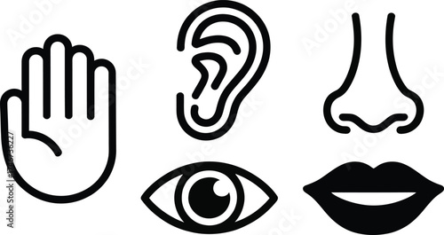 Vector art of five human senses icons.