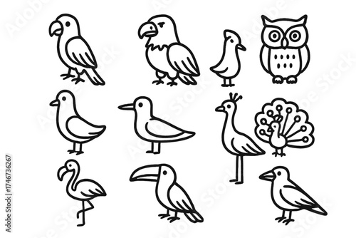 Bird Doodle Icon Set. Birds doodle icon set: hand drawn icons of parrot, eagle, owl, pigeon, seagull, peacock, flamingo, toucan,