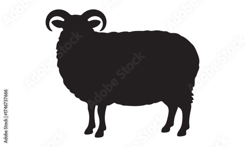 Sheep silhouette, Bighorn sheep silhouette vector