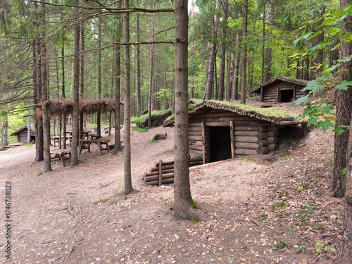 Wooden huts in the forest on a sunny summer day.