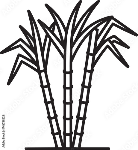 Three stalks of sugar cane icon on white background plant agriculture