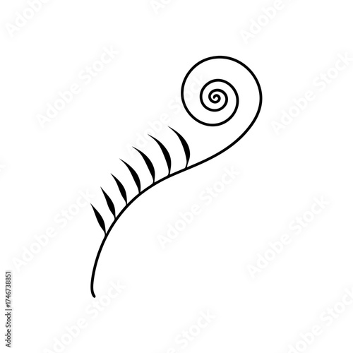 Simple fern frond with spiral curl on transparent background silhouette