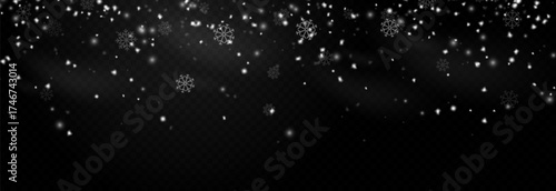Snowfall PNG. Heavy snowfall or snowstorm with snowflakes of various shapes. Winter snowy background.