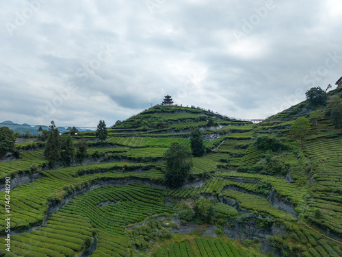 Photography Terraced tea fields ascend Xuan'en County hills under a cloudy sky, a pagoda crowns the highest peak